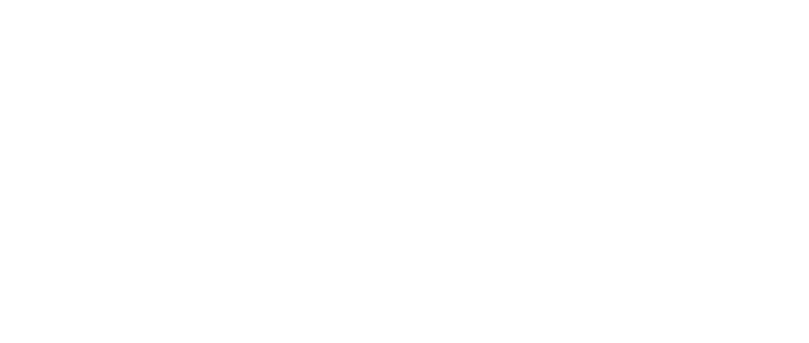 Celonis Celonis