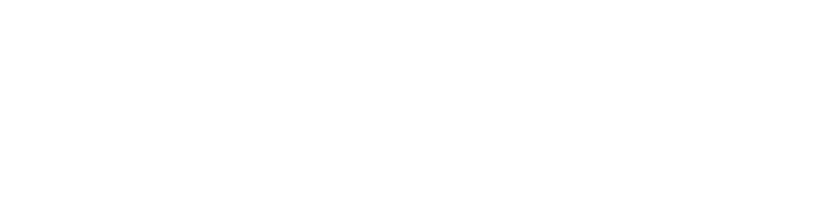 Palantir Palantir